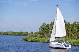 Segelboot segelt durch einen Wald